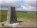 SS8135 : Trig Point on Brightworthy Barrows by Roger Cornfoot