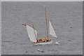 SW8331 : Falmouth : Sailing Boat by Lewis Clarke