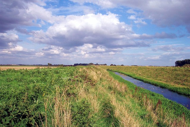 Nature reserve at Thurlby Fen near Bourne, Lincolnshire