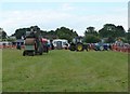 Tractors at Dacorum Steam and Country Fayre