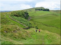 NY7567 : Hadrian's Wall Trail near Cat Stairs by Andrew Curtis