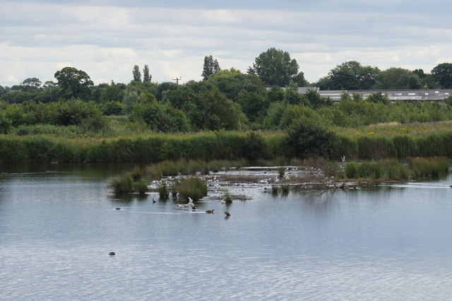 View from the Harrier Hide, Martin Mere