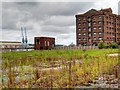 East Float Quay, Seacombe