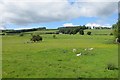 Field near Tofts