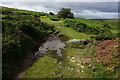 Bridleway, lower slopes of Cordon Down