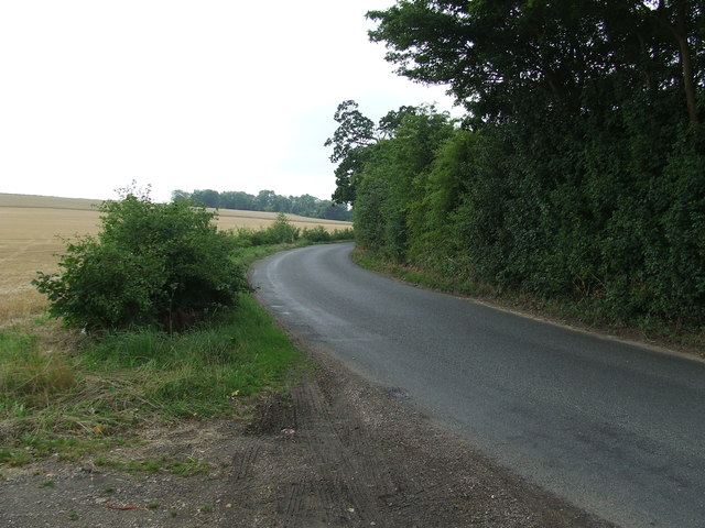 Back Lane
