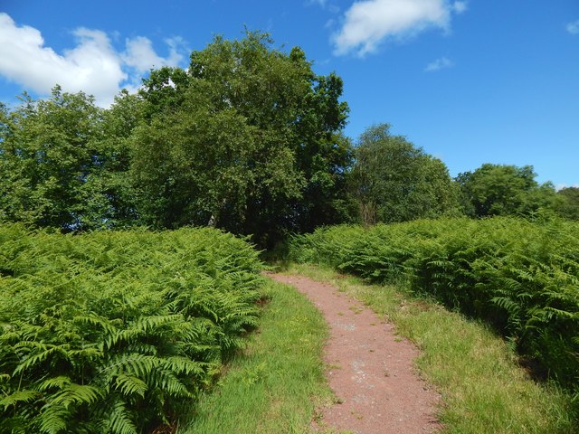 Path to Craigton