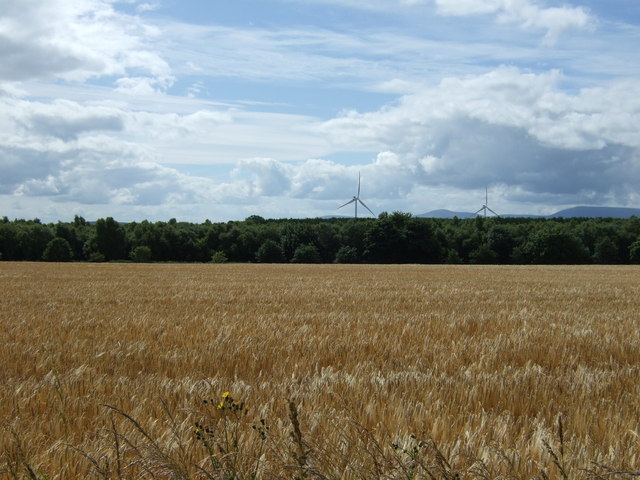 Crop field towards Moss Wood