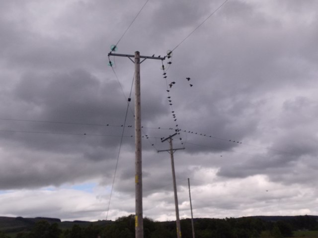 Overhead electricity lines