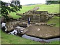 NY9170 : Remains of Chesters Roman Bridge by Andrew Curtis