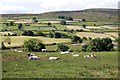 Interlopers in Swaledale