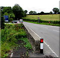 East side of Narberth Bridge, Narberth