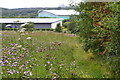 Path on waste ground near Newfield