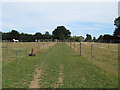 Footpath through paddocks, Great Horkesley