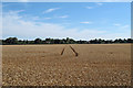 TL9730 : Tractor tracks in wheat field, Great Horkesley by Roger Jones