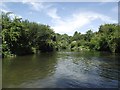 River Great Ouse