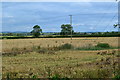 View across fields with Nantwich church tower in the distance