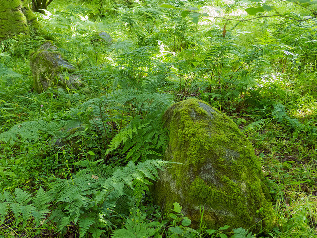 Part Of Hut Circle In Drummondreach Oak © Julian Paren Cc-by-sa 2.0 