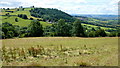 View to Wenallt