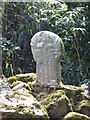 Celtic cross in the grounds of Bosvathick - 1