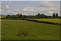 Fields between Brompton and Northallerton