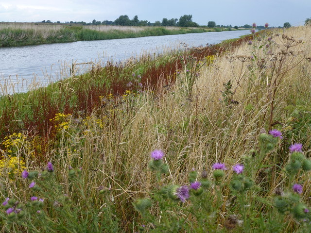 The New Bedford River near Sutton in the Isle