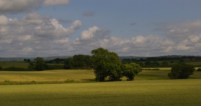 Fields east of North Otterington
