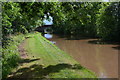 Shropshire Union Canal near Adderley Lees Bridge