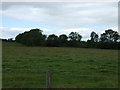 Farmland towards Harbour Wood