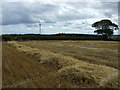 Stubble field near Barmoor Ridge