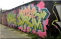 J3674 : Graffiti, Laburnum Lane, Belfast - August 2015(2) by Albert Bridge