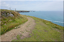 SM7423 : Pembrokeshire Coast Path above Chanters' Seat by Bill Boaden