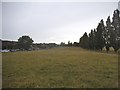 Fields at College Farm