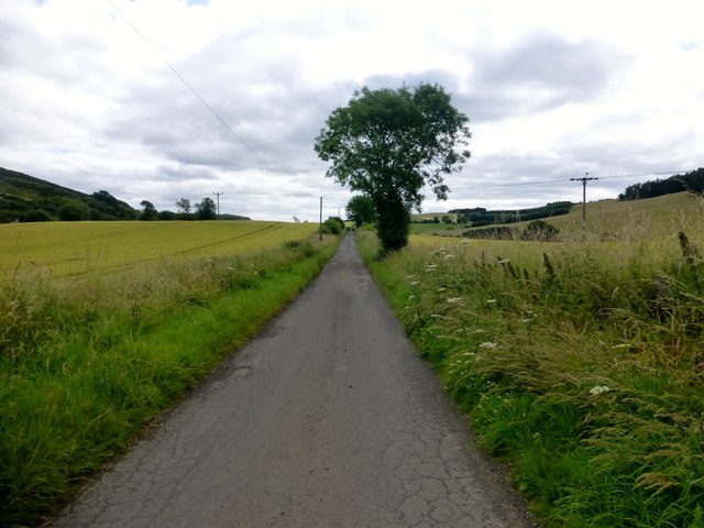 Narrow Minor Road