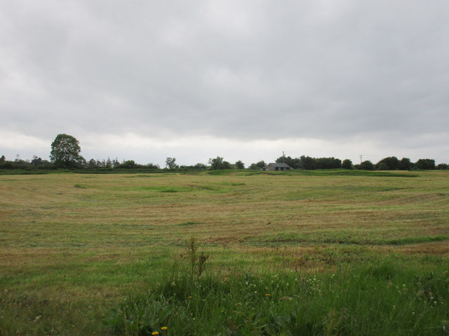 Hay field, Lorrha