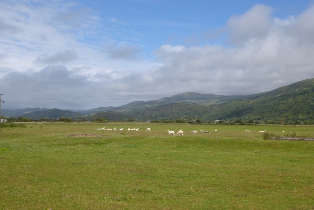 Farmland north of Harlech