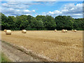 Baled straw near Dora