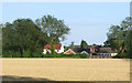 Crop field and housing, Spooner Row