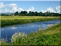 The River Calder outside Whalley