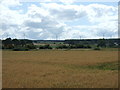 NU1527 : Crop field near Henhill Covert by JThomas