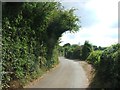 Warren Lane, near Hartlip