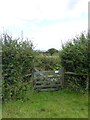 Gate for bridleway at Higher Kingstree