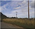 An assortment of telegraph poles in Smallford