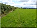 Footpath south of Parsonage Cross