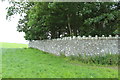 Stone Wall at Cruggleton Church