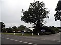 Notcutts Garden Centre on Guildford Road