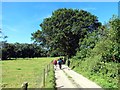 Llwybr Ffynnon-ro Path