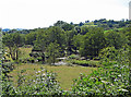 Afon Cothi near Pumsaint