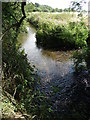 The River Dearne north of Darton