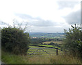 Across the fields towards Millbank